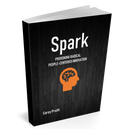 Spark: Provoking Radical People-Centered Innovation